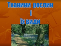 Тканини рослин
і
їх види