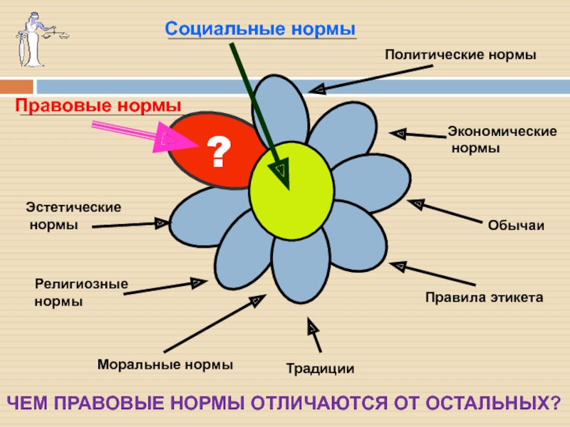 Социальные правила. Социальные нормы. Деление социальных норм. Социальные нормы Ромашка. Эстетические нормы.