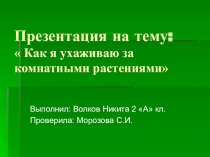 Как я ухаживаю за комнатными растениями