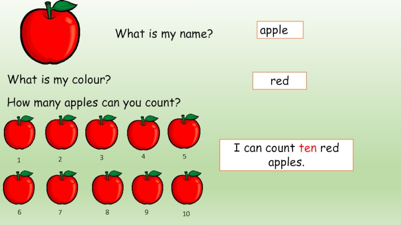 Яблоко перевести на английский. How many Apples. Count Apples. How what Apple. Apple перевод.