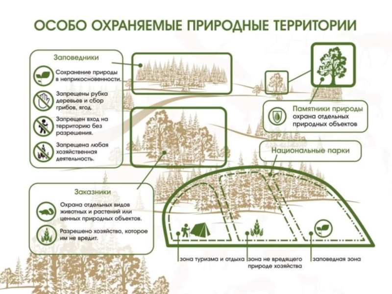 Характеристика оопт по плану