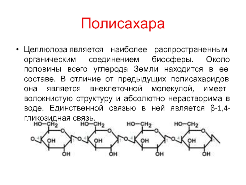 Сходства и различия крахмала и целлюлозы. Строение полисахаридов. Целлюлоза Тип углевода. Химическая структура полисахаридов. Структура молекул полисахаридов.