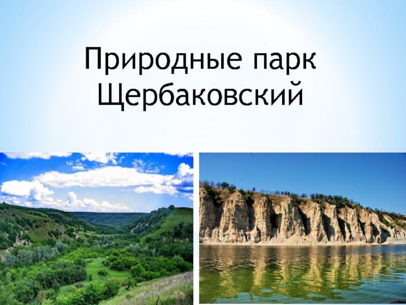 Презентация Природные парк Щербаковский