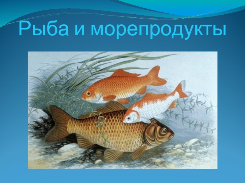 Презентация Рыба и морепродукты