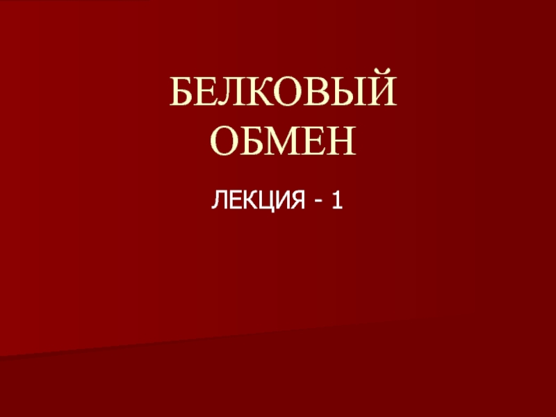 Презентация БЕЛКИ-1.ppt