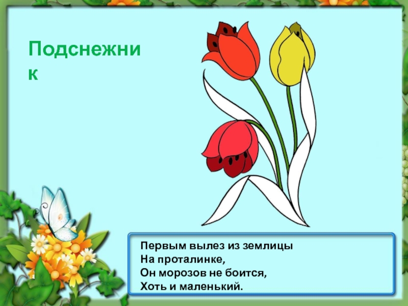 На лесной проталинке вырос цветик маленький прячется. Первым вылез из землицы на проталинке он. Тоненький стебелек на котором сидит цветок. Скромная Ромашка тонкий стебелёк стих. На Лесной проталинке рос цветочек маленький стих.