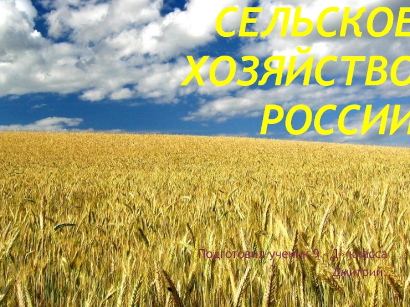 Сельское хозяйство России