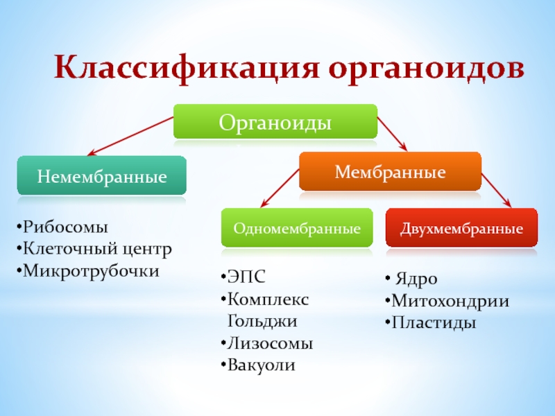 2 мембрана органоиды. Мембранные органоиды и немембранные органоиды. Классификация органоидов одномембранные. Одномембранные органоиды функции. Двумембранные одномембранные и немембранные органоиды таблица.