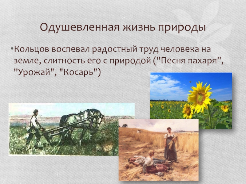 Текст стихотворения косарь. Кольцов Алексей Васильевич стихи о природе. "Жизнь природы - напрерывный процесс движения..." Учёный. Презентация Кольцов песня пахаря. Стихотворения Кольцова о природе.