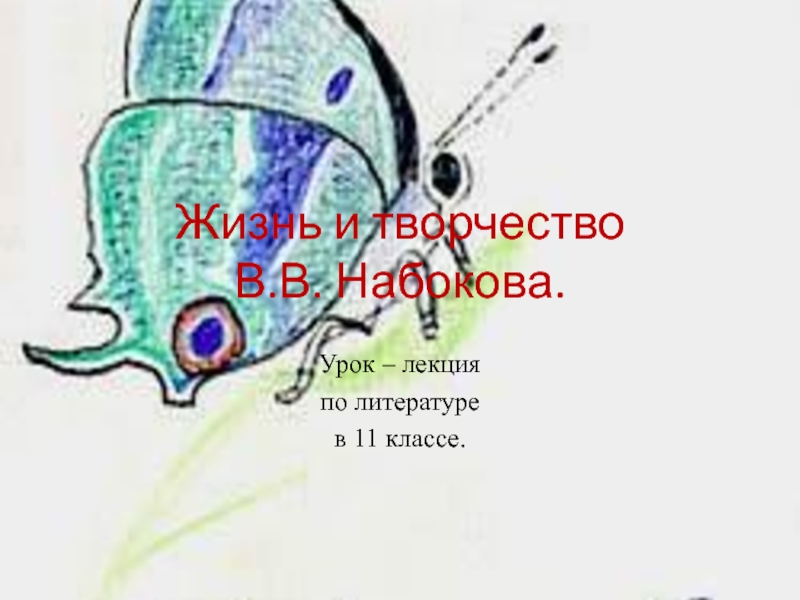 Жизнь и творчество В.В. Набокова