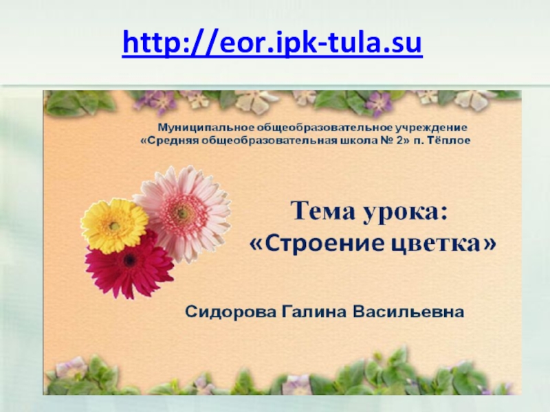 http://eor.ipk-tula.su