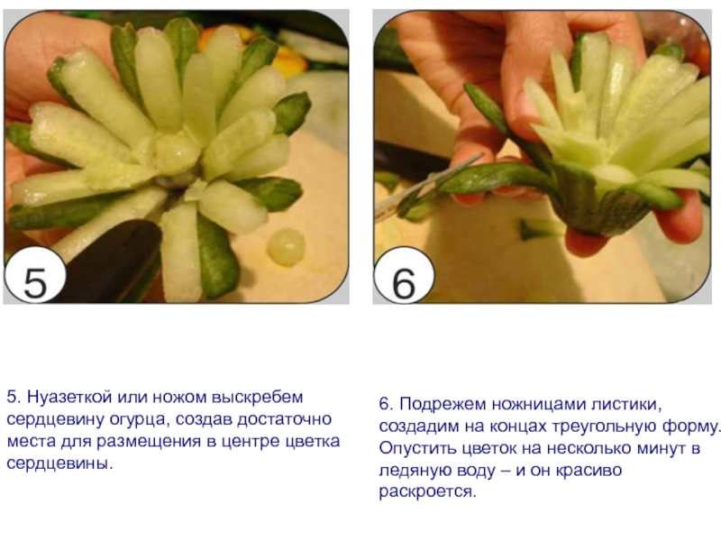 Сердцевина огурца. Лилия из огурца. Лилии из огурцов. Лилии из огурца презентация. Огурец сердцевина.