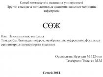 Семей мемлекеттік медицина университеті
Пругло атындағы патологиялық анатомия
