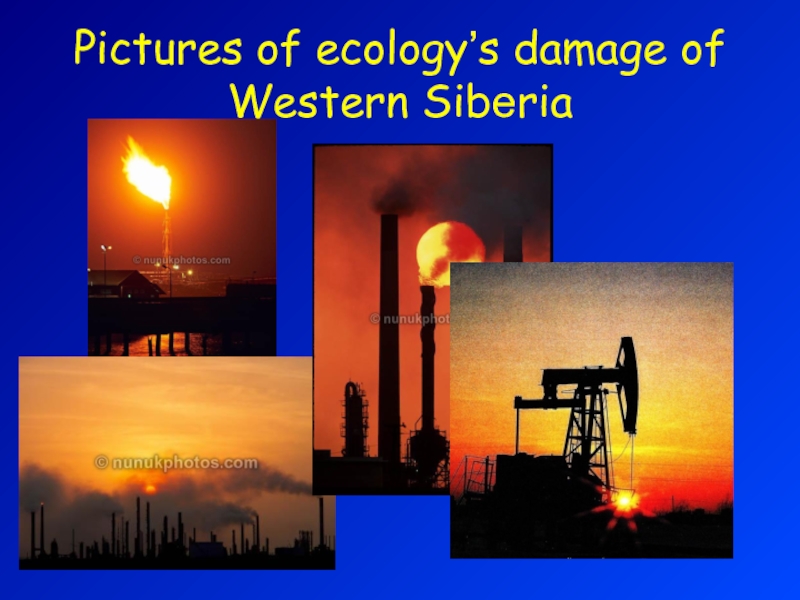 Pictures of ecology’s damage of Western Siberia