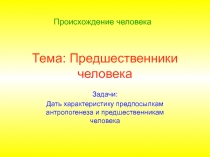 Тема: Предшественники человека