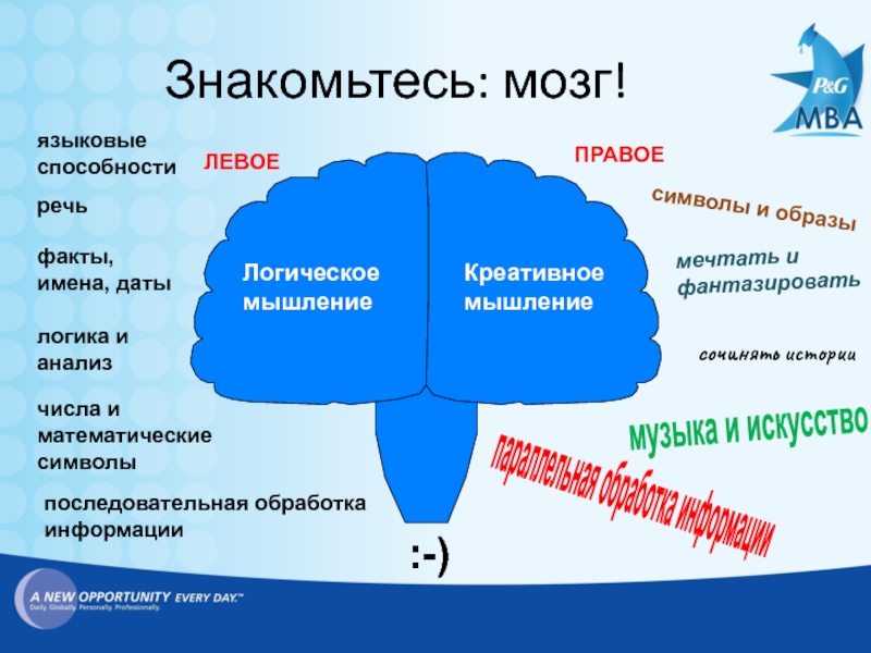 Способность правой левой. Лингвистические способности. Языковые способности. К лингвистическим способностям относятся. Как развить лингвистические способности.