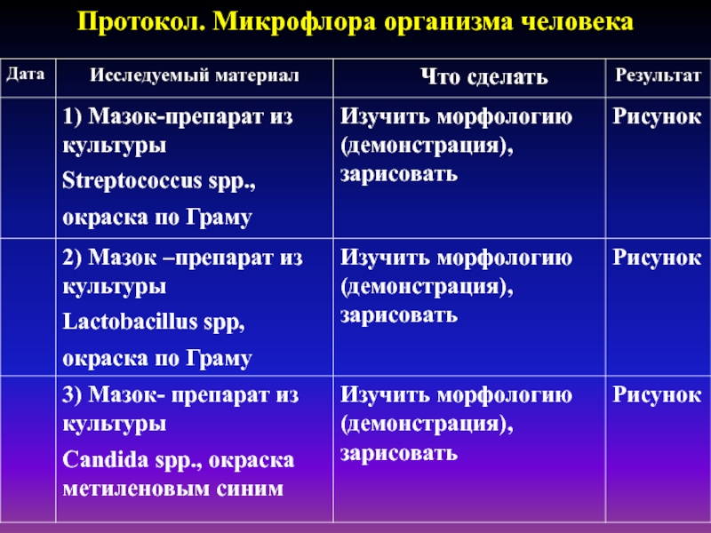 Биотопы человека. Микрофлора организма человека. Представители нормальной микрофлоры человека таблица. Микрофлора организма человека микробиология таблица. Микрофлора человека микробиология таблица.