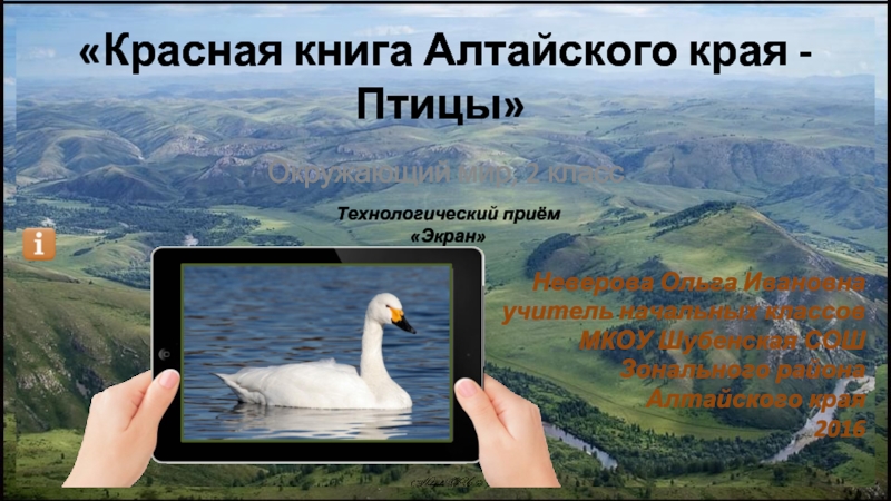 Красная книга Алтайского края - Птицы