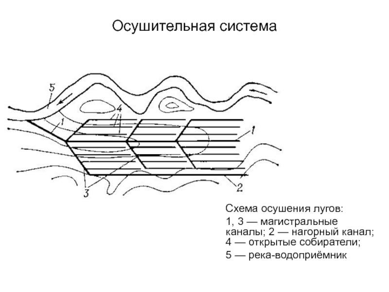 Осушительные мелиорации презентация