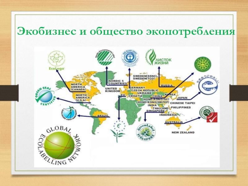 Эко бизнес проект