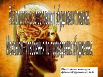 Фізіологія та властивості збудливих тканин. Механізм утворення та проведення
