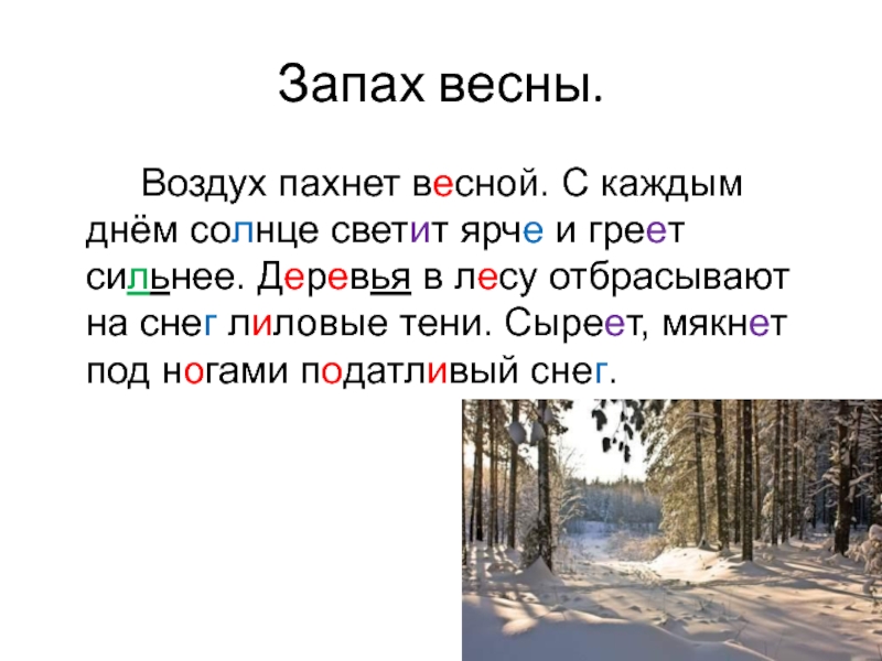 Текст 3 леса. Март в лесу изложение. Изложение про весну. Изложение Весна в лесу. Обучающее изложение март в лесу.