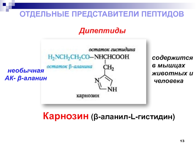 Белки и пептиды презентация