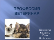 Профессия ветеринар