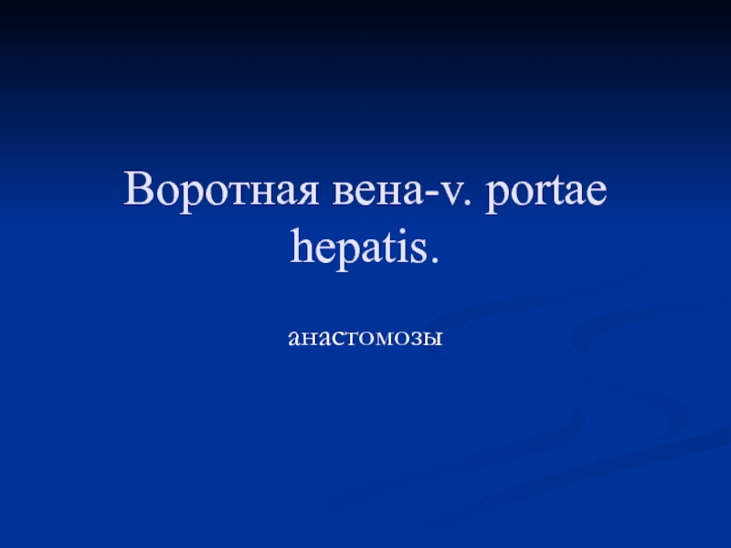 Воротная вена-v. portae hepatis