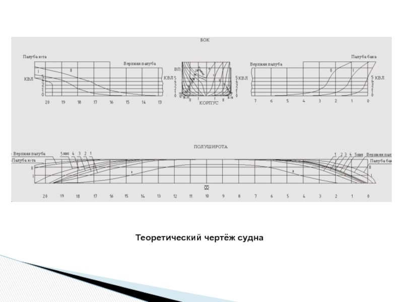 Проекции теоретического чертежа