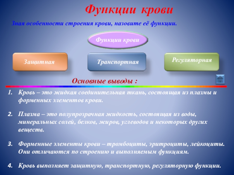 Транспортная защитная функция. Особенности строения крови. Кровь особенности строения и функции. Особенности строения крови человека. Функции крови анатомия.