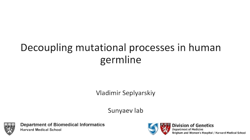 Decoupling mutational processes in human germline