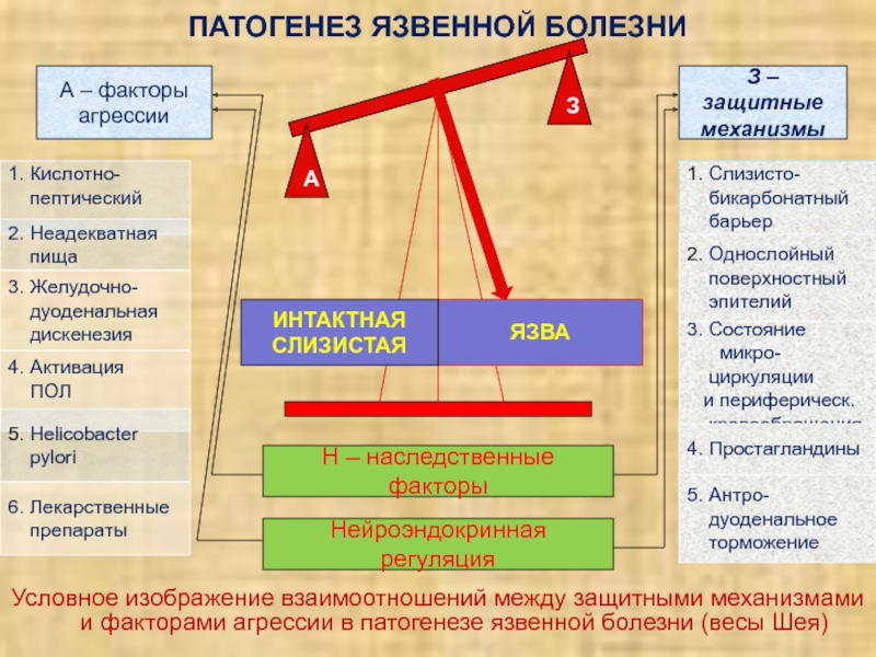 Язвенная болезнь патогенез схема