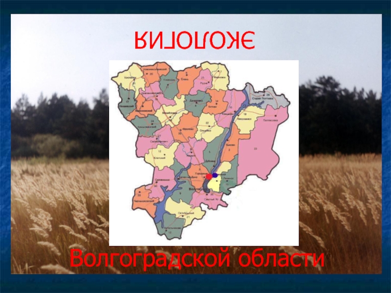 Экология Волгоградской области