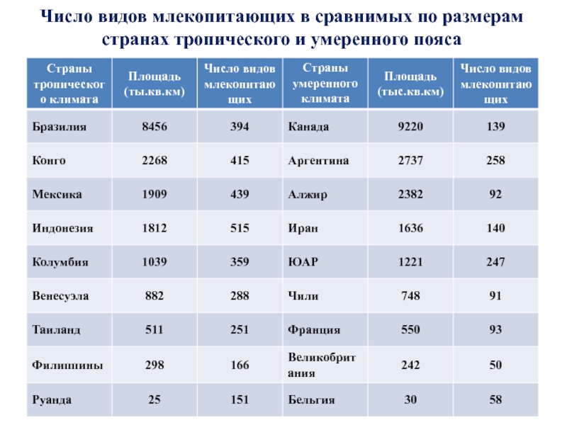 Общее количество видов. Число видов млекопитающих. Число видов высших млекопитающих. Численность видов млекопитающих. Число видов млекопитающих на земле.