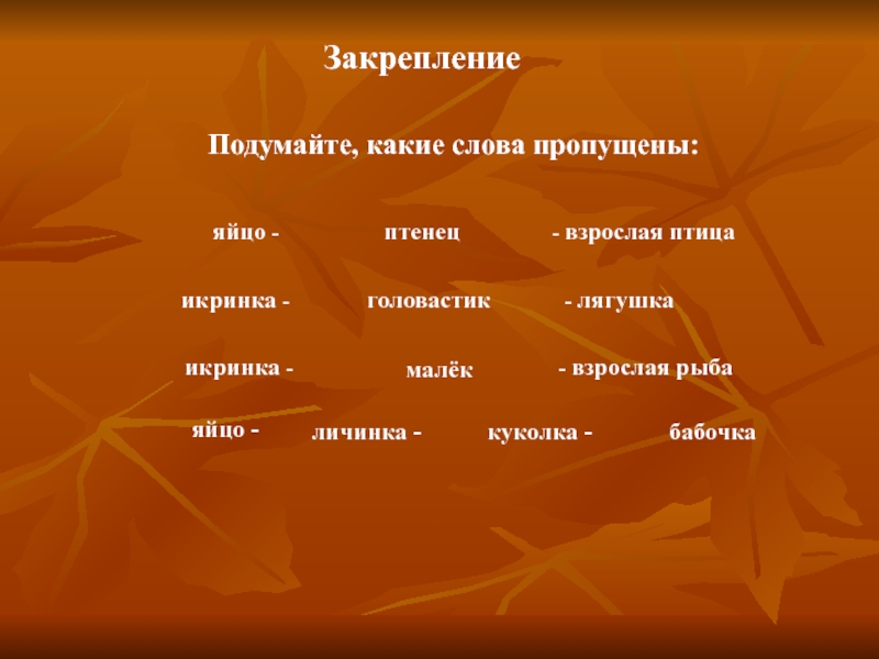 Какое слово пропущено яйцо личинка куколка. Какое слово пропущено икринка. Какое слово пропущено икринка взрослая рыба личинка малек головастик. Какое слово пропущено: икринка - … - Рыба. Икринка взрослая лягушка какое слово пропущено.