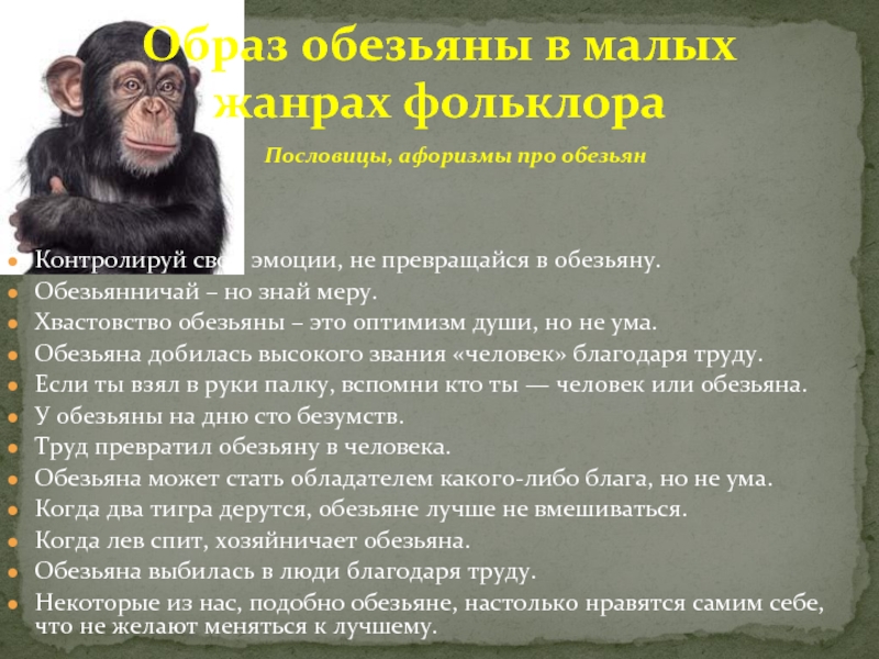 Шимпанзе подобрать прилагательное. Пословица про обезьяну. Поговорки про обезьян. Текст про обезьяну. Пословицы к произведению про обезьянку.