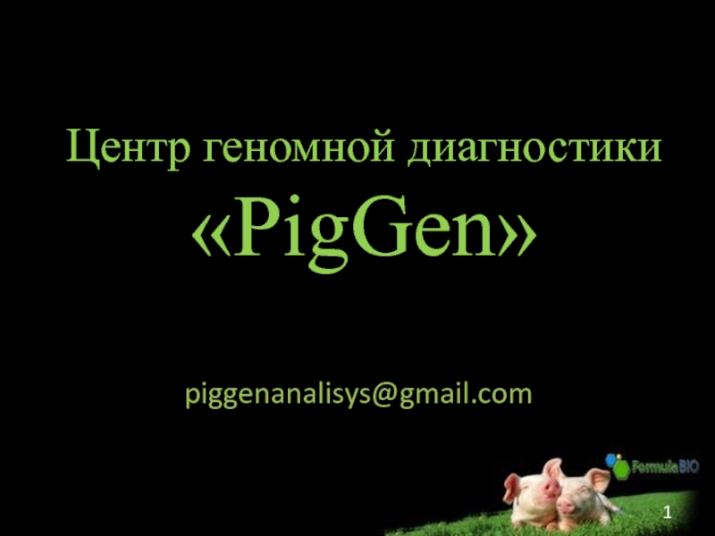 Презентация Центр геномной диагностики  PigGen