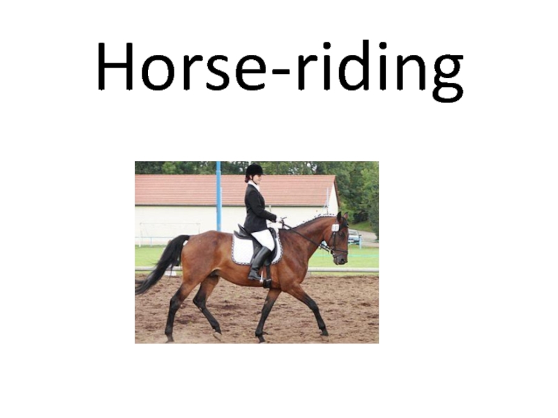 Horse - riding
