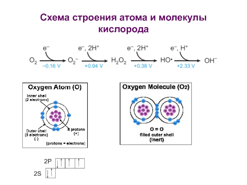 Схема строения атом