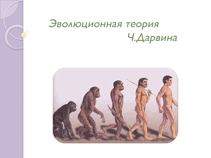 Презентация Эволюционная теория Ч.Дарвина