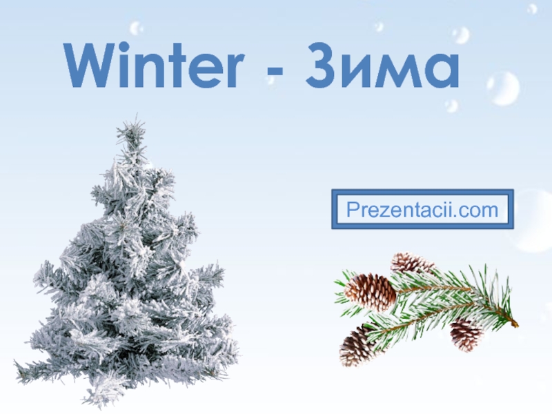 Презентация Winter - Зима