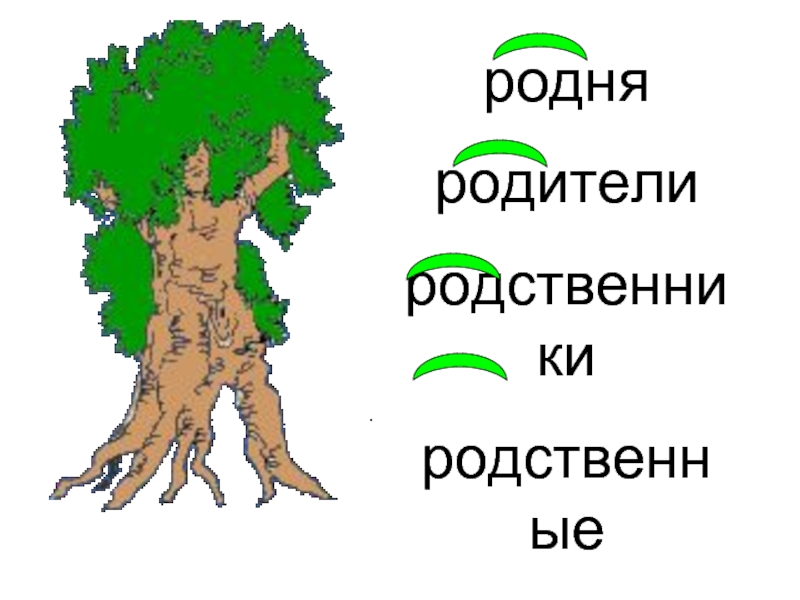 Родственница 5 букв