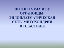 Цитоплазма и ее органоиды: эндоплазматическая сеть, митохондрии и пластиды