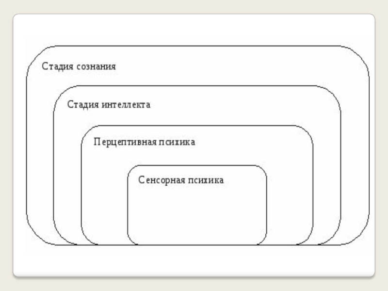 Есть ли сознание у животных презентация