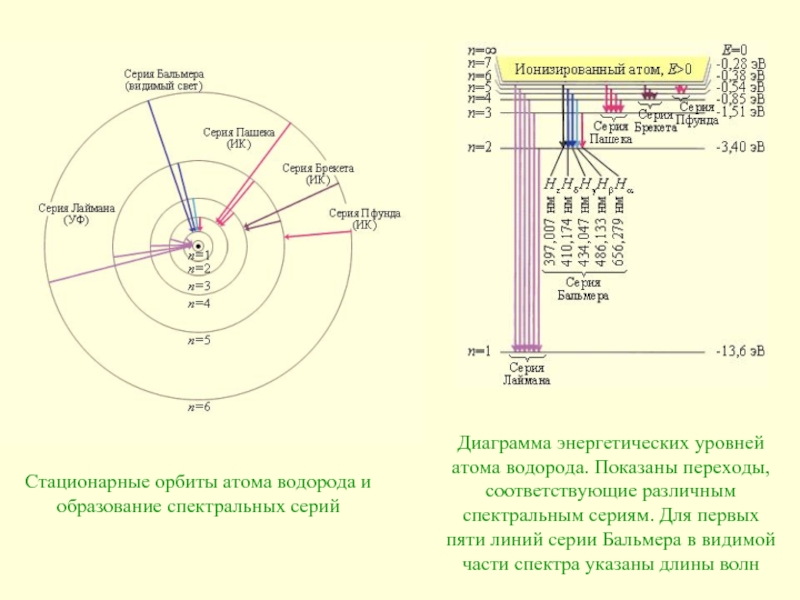 На рисунке схематически изображены стационарные орбиты атома водорода согласно модели бора где