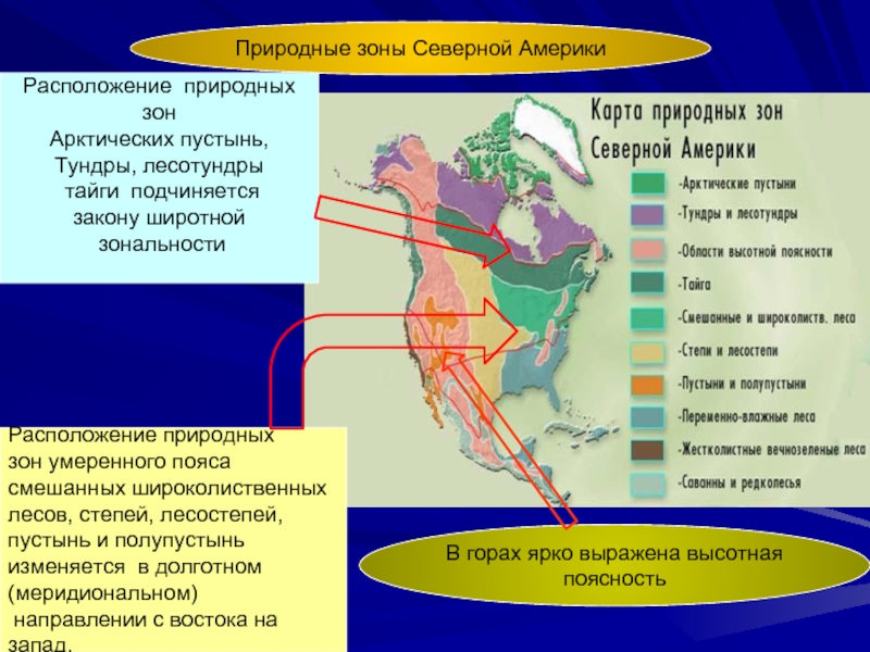 Тест природные зоны северной америки. Северная Америка природные зоны вечнозелёные леса таблица. Карта природных зон Северной Америки 7 класс география. Таблицу природные зон Северной Америки арктические пустыни. Климатические пояса и природные зоны Северной Америки.