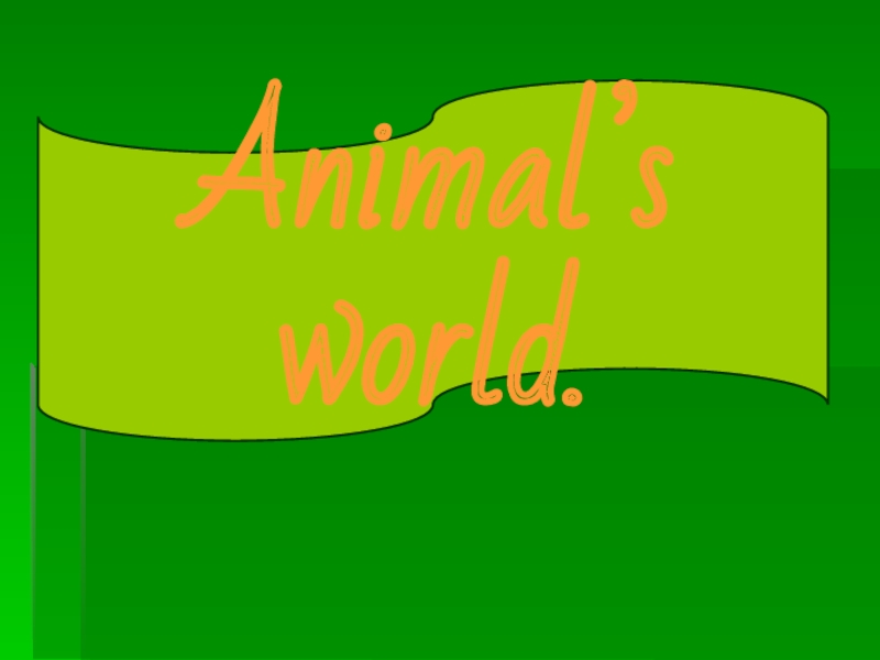 Презентация Animal's world (В мире животных)