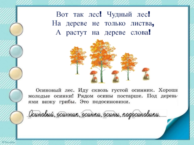 Семя слов дерево. Дерево с однокоренными словами. Деревья текст. Дерево лес однокоренных слов корень лес. Дерево корень слова.