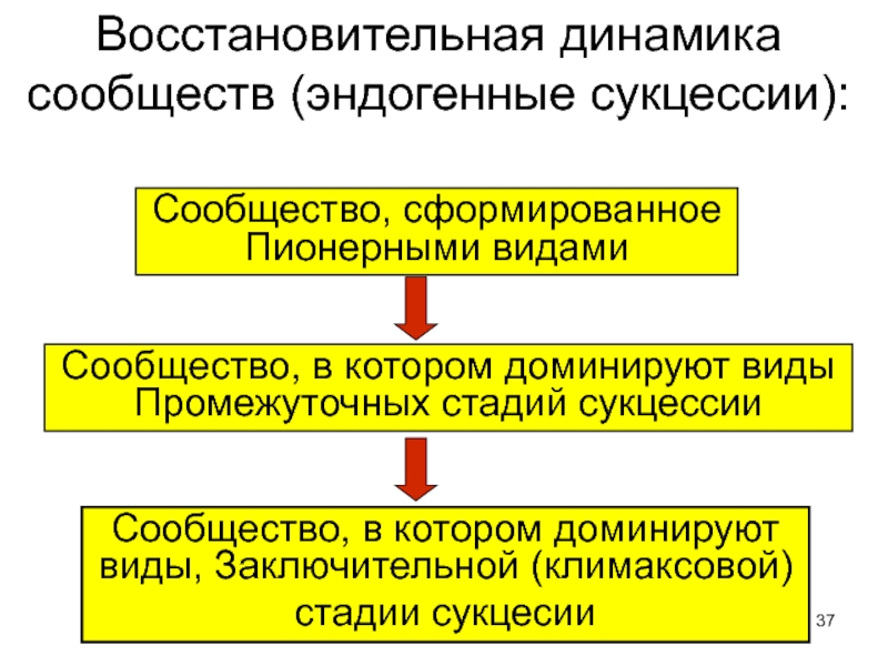 Динамика сообществ 11 класс презентация